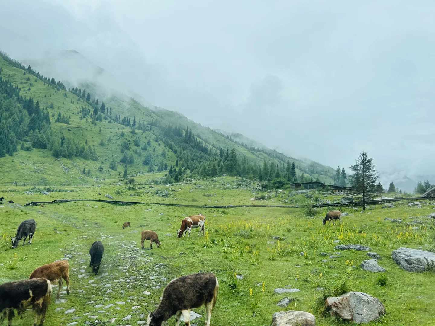 “九寨沟➕四姑娘山双桥沟”详细攻略送上