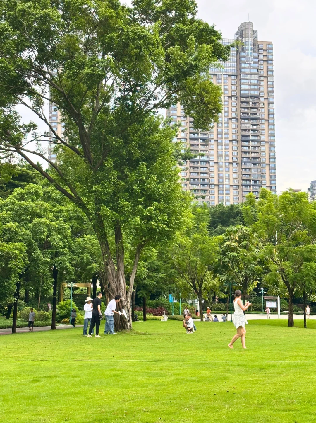 藏在CBD的遛娃宝地｜撸猫天堂+野餐圣地！