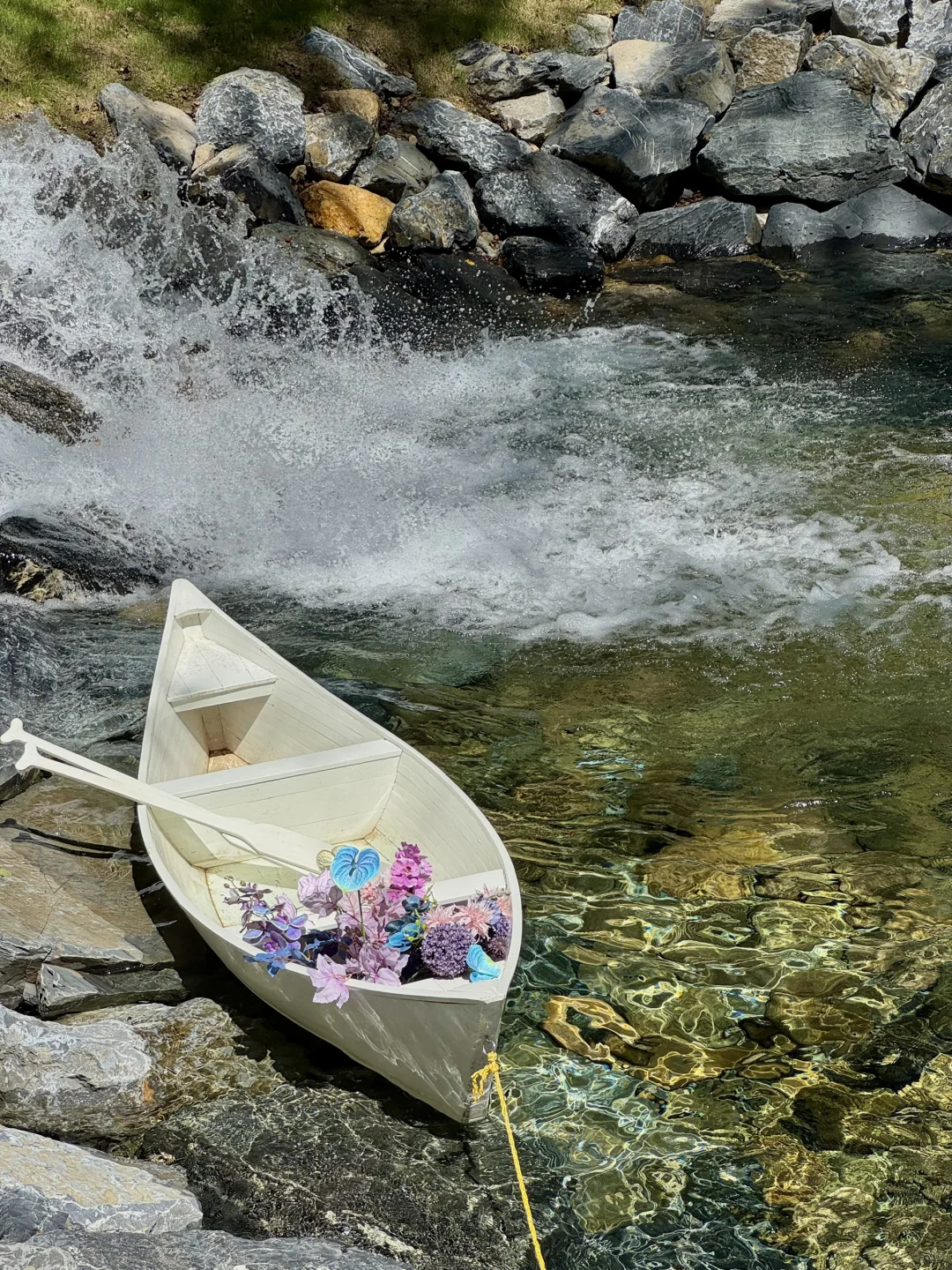 杭州1h直达🚗5万㎡的森林玩水秘境（附攻略