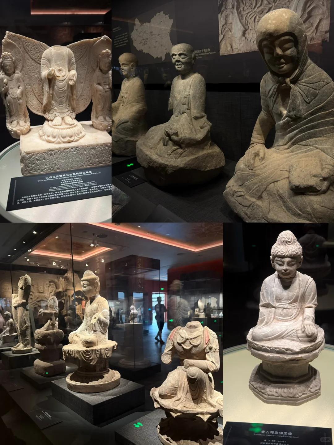 邯郸市博物馆1h速刷｜蛤蟆你瞅啥？