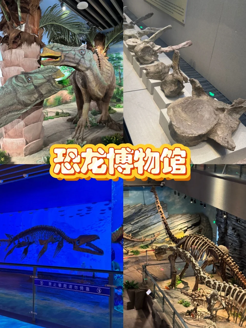 延吉暑假旅游攻略 | 保姆级避雷指南✅