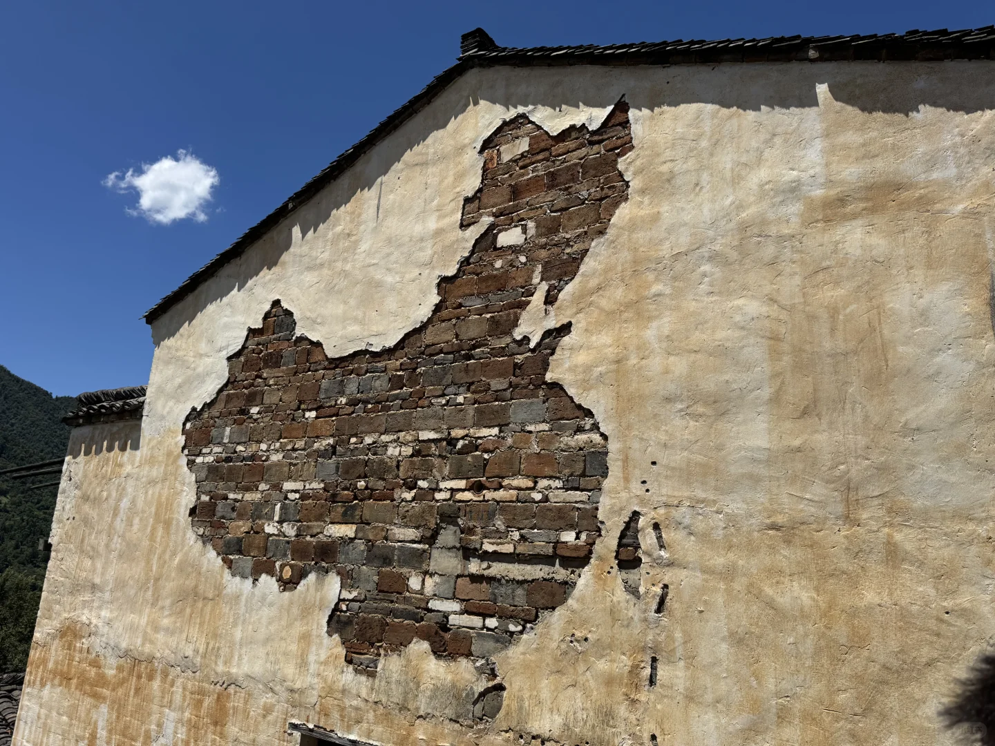 没晒到秋 却要被晒化了🔥