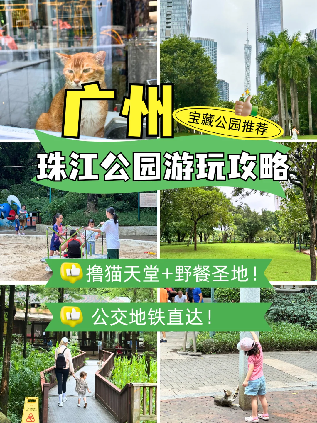 藏在CBD的遛娃宝地｜撸猫天堂+野餐圣地！