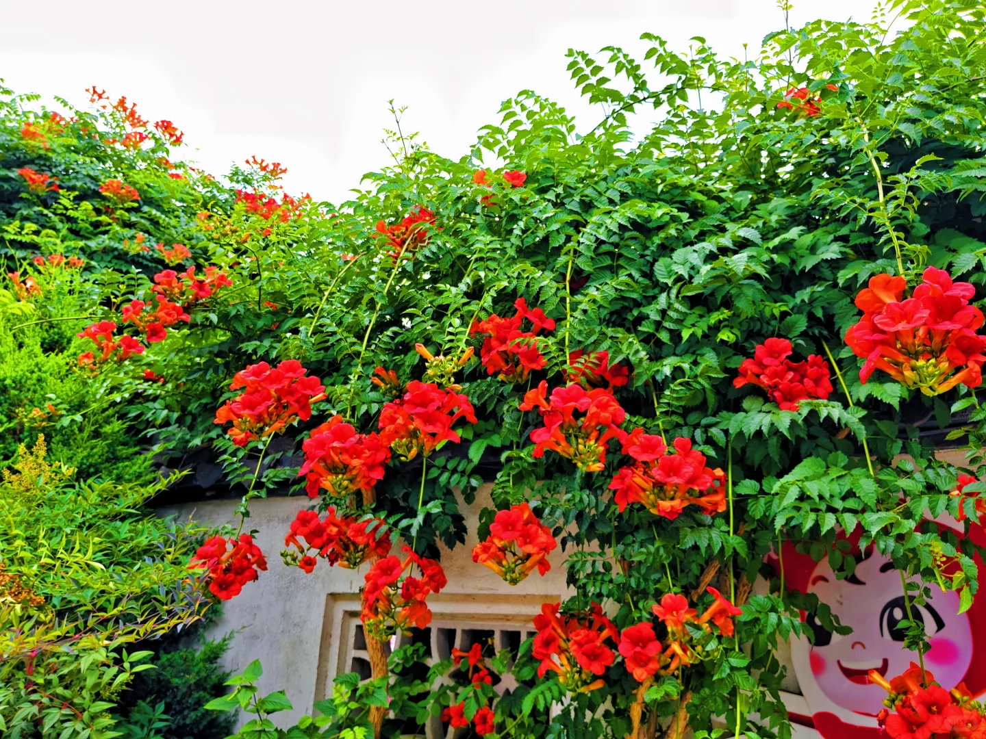 惠山古镇｜0门票游玩