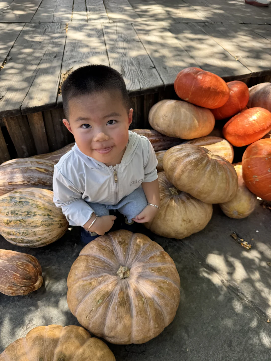 没晒到秋 却要被晒化了🔥