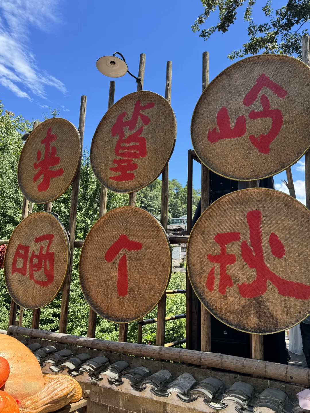 没晒到秋 却要被晒化了🔥