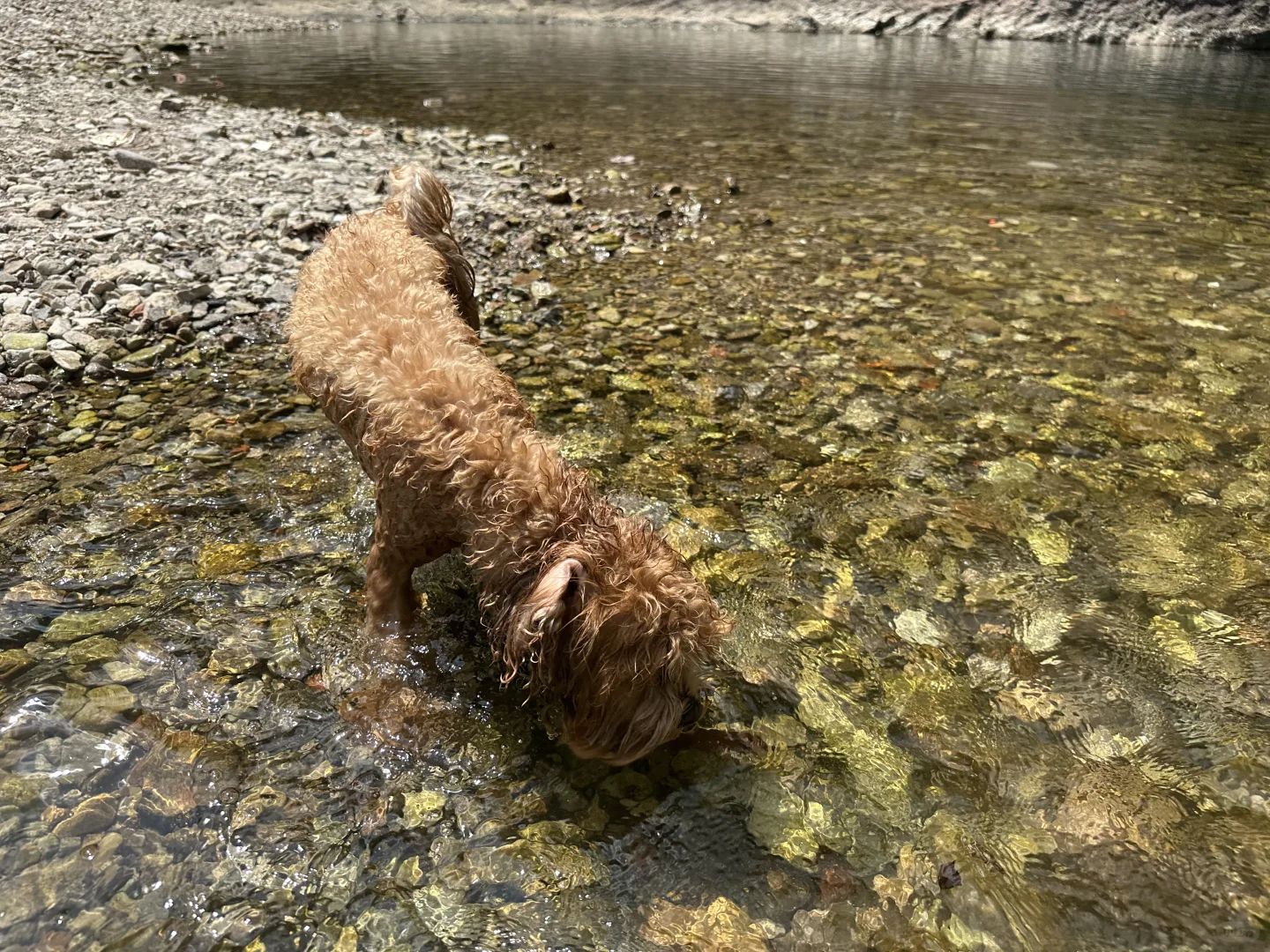 只能说是玩得有点狼狈……