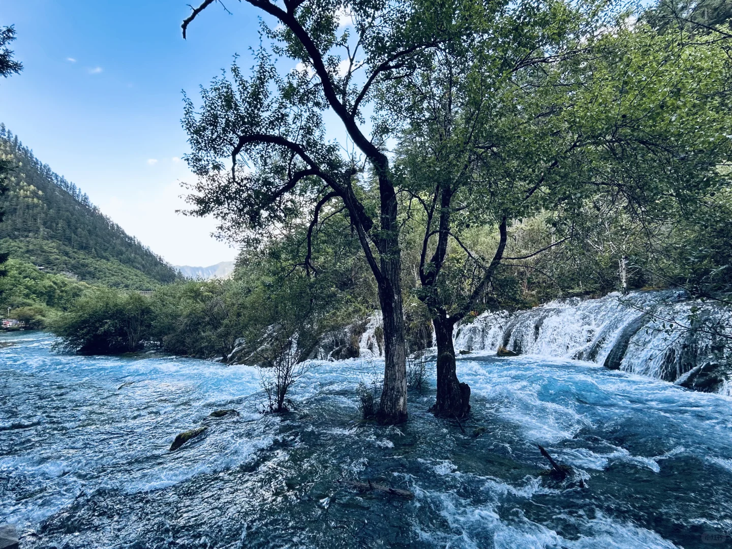 “九寨沟➕四姑娘山双桥沟”详细攻略送上