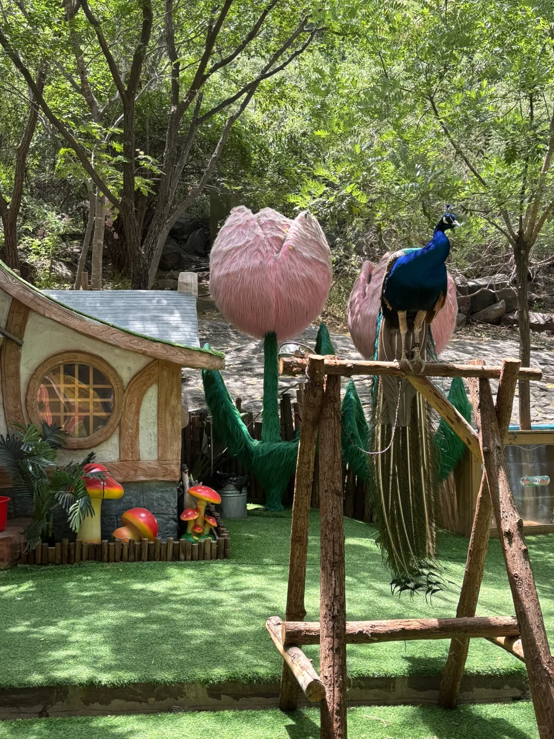 又一个河南版小九寨了！夏天避暑