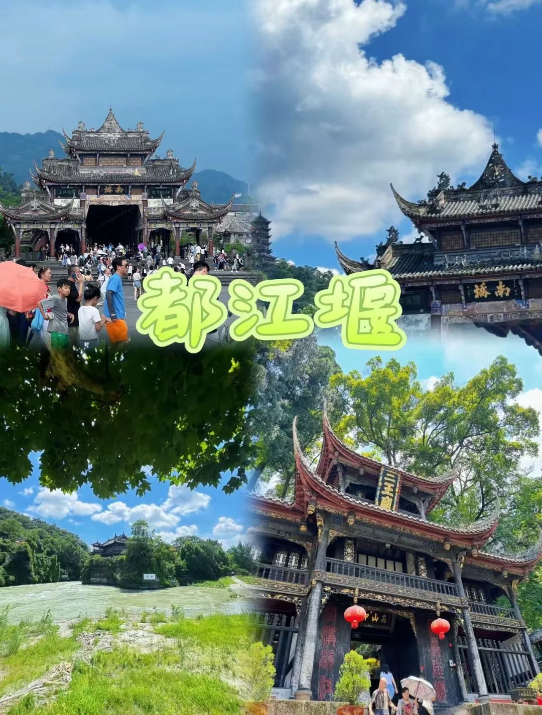 熊猫谷吸氧+都江堰夜游！包车路线私人定制🚀