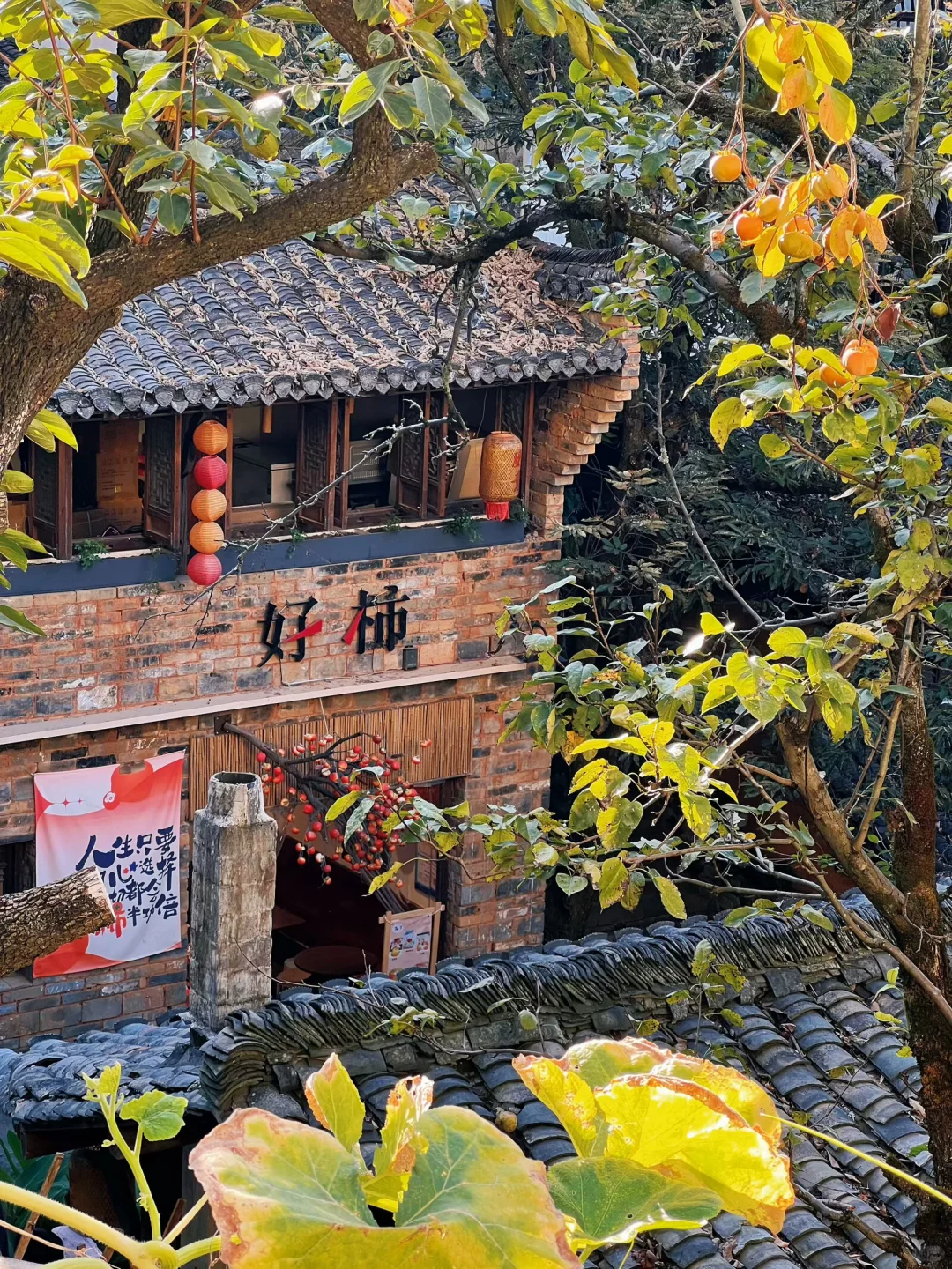 婺源篁岭｜闯入油画里的秋天🍂