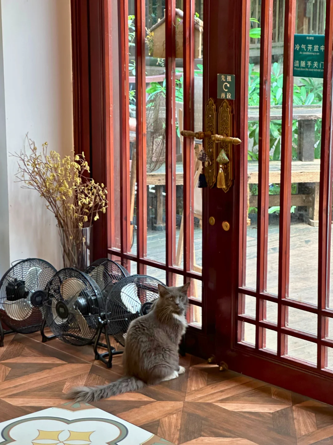 藏在CBD的遛娃宝地｜撸猫天堂+野餐圣地！