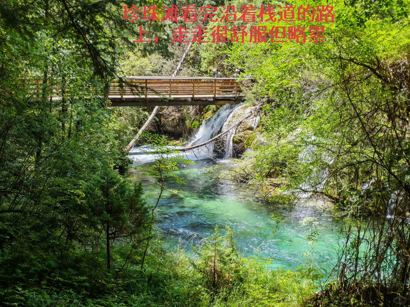 九寨沟不要随意左线换右线，踩雷了