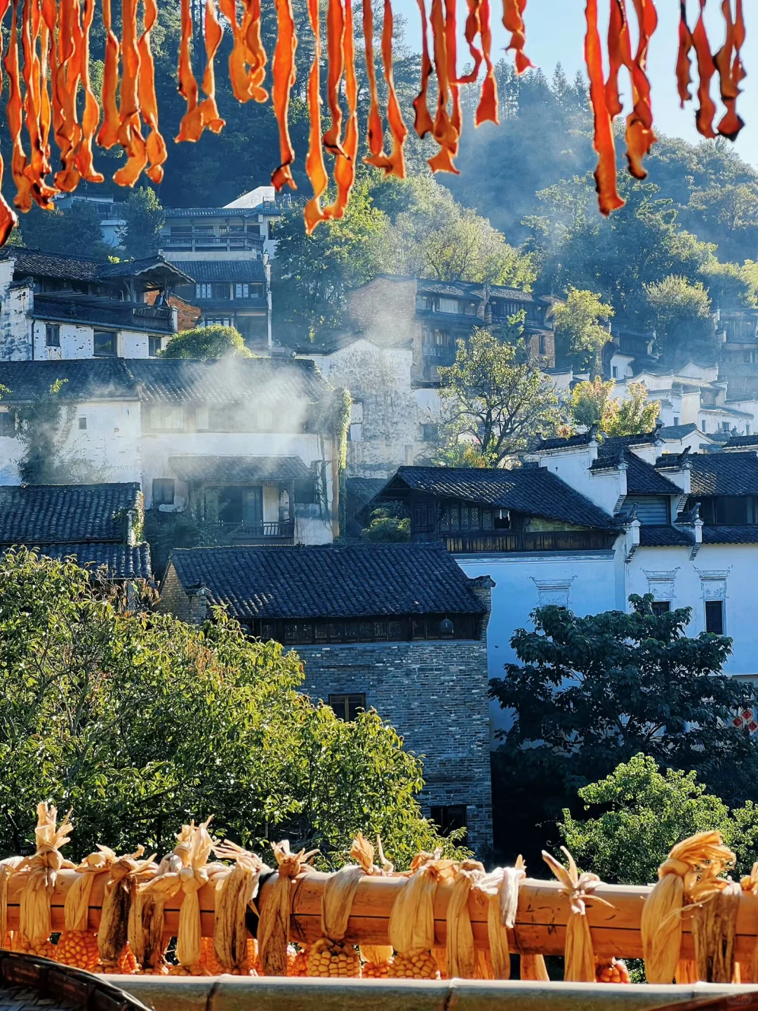 婺源篁岭｜闯入油画里的秋天🍂