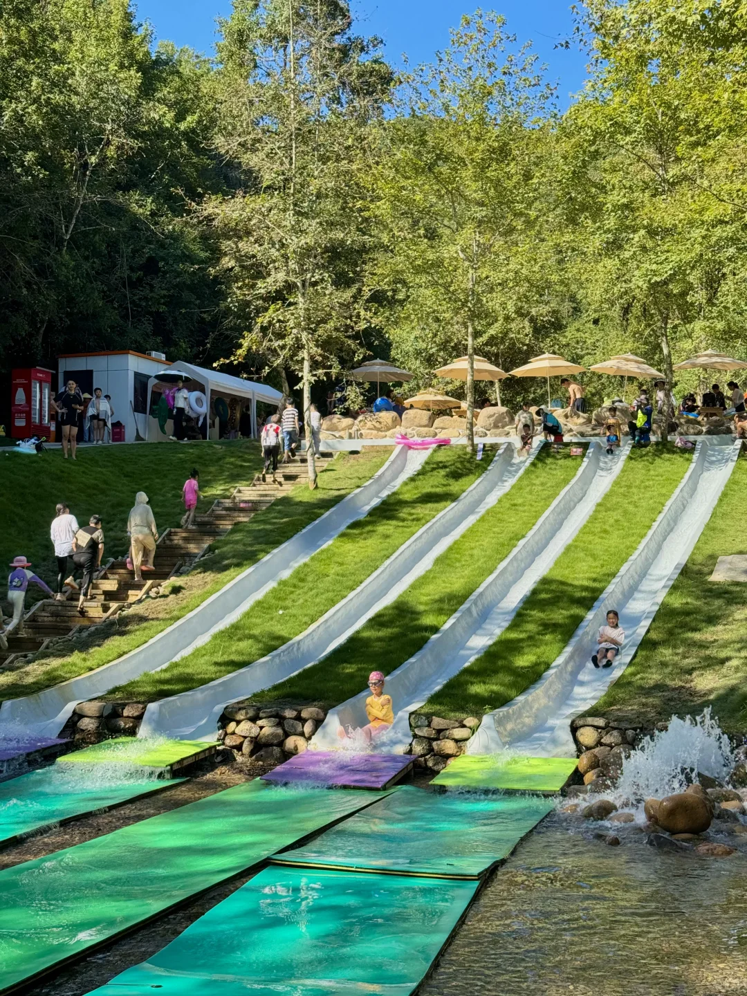 杭州1h直达🚗5万㎡的森林玩水秘境（附攻略