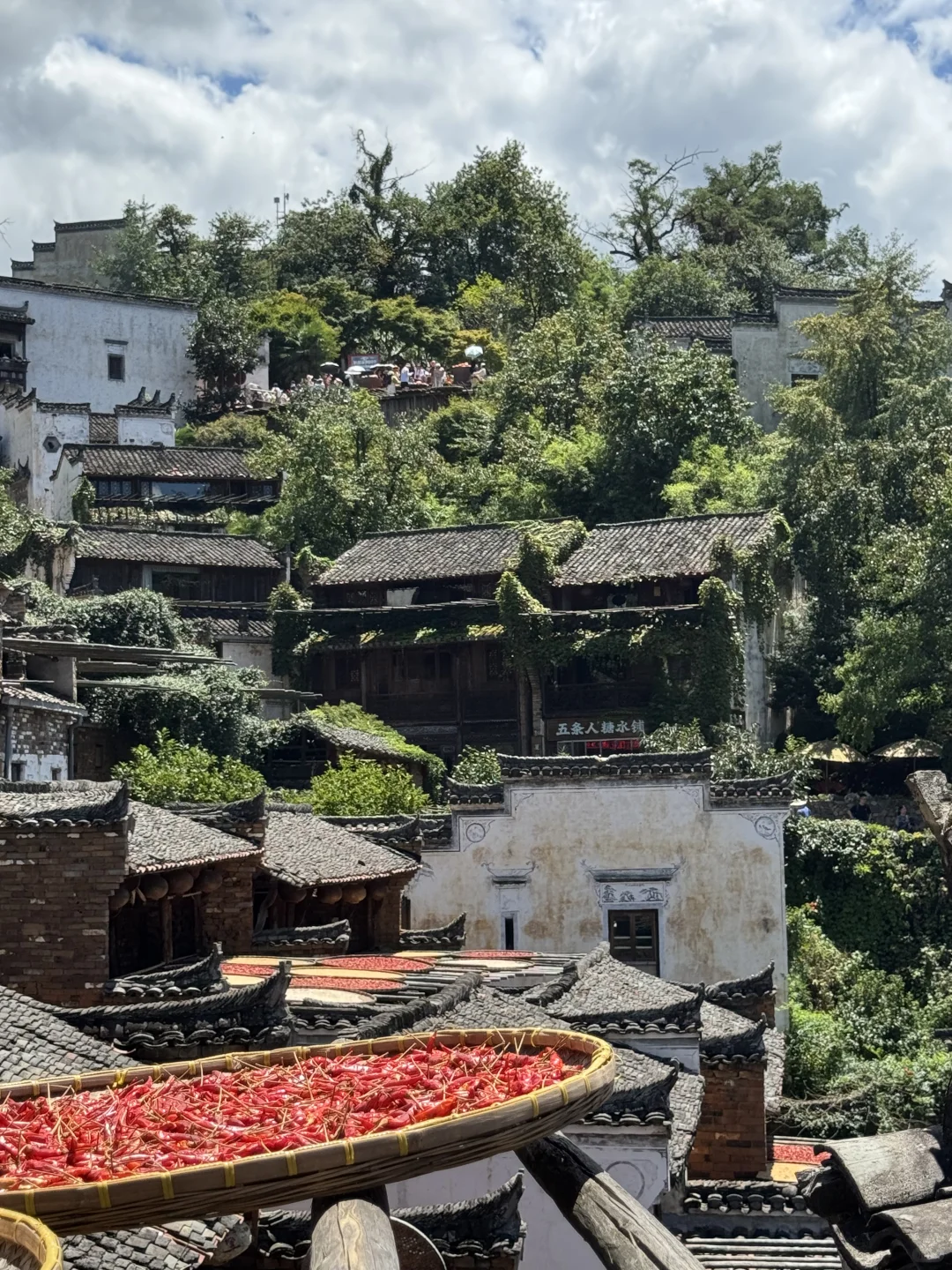 没晒到秋 却要被晒化了🔥