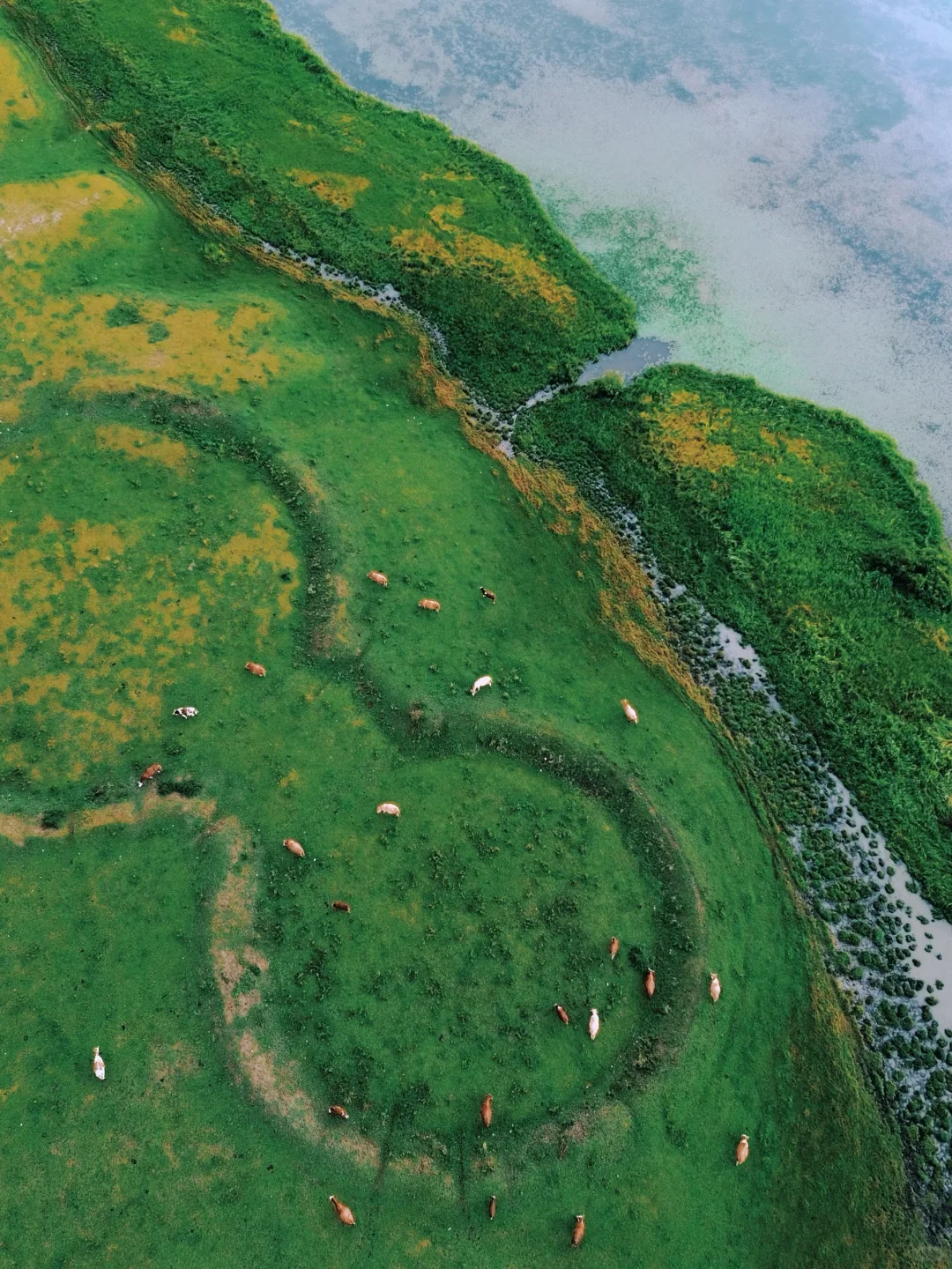谁还没来❗️北京周边被狠狠低估的小众草原❗️