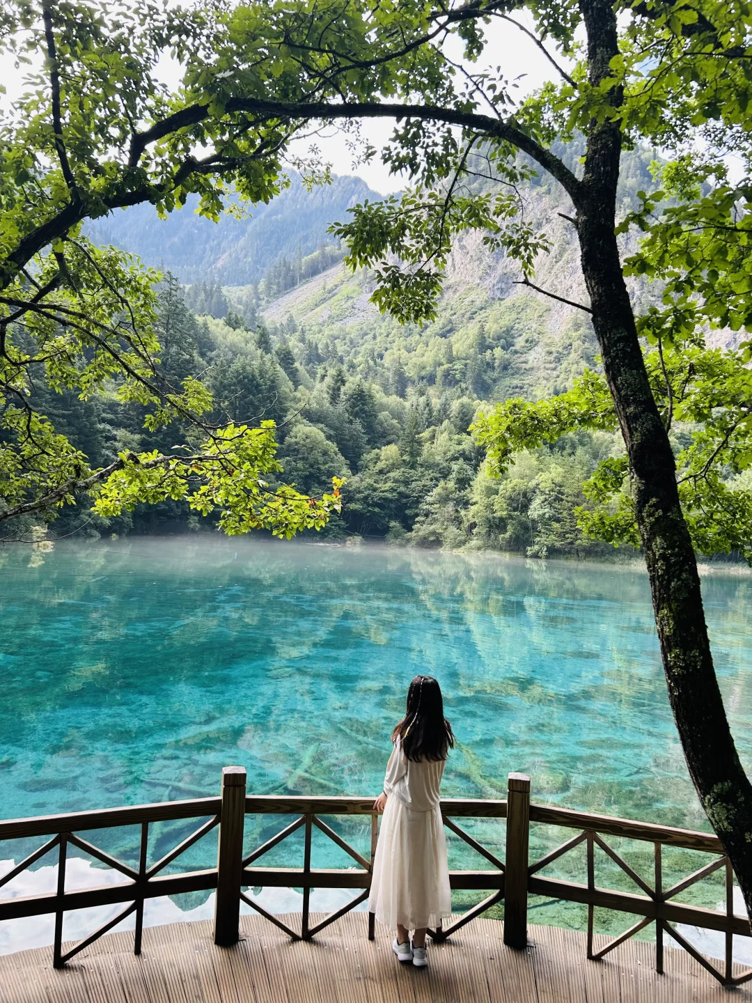 “九寨沟➕四姑娘山双桥沟”详细攻略送上