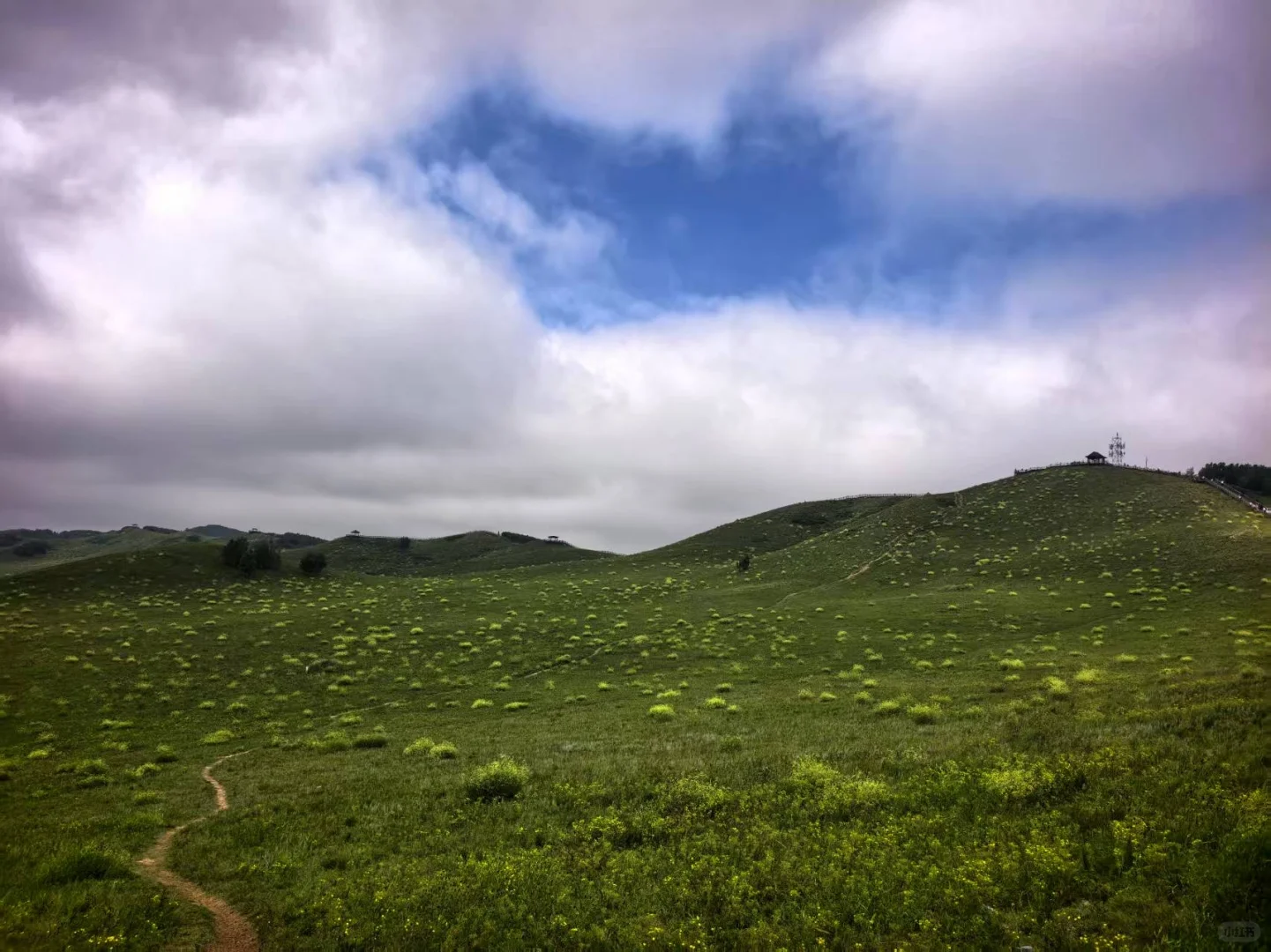 这个夏天总要去趟草原吧！