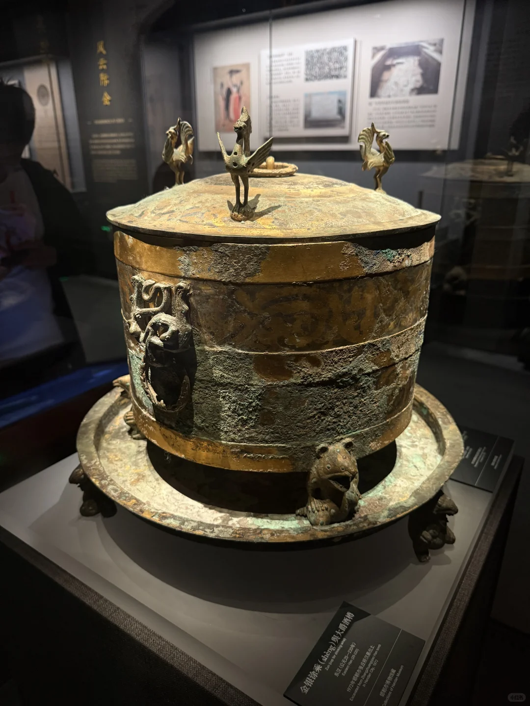 邯郸市博物馆1h速刷｜蛤蟆你瞅啥？