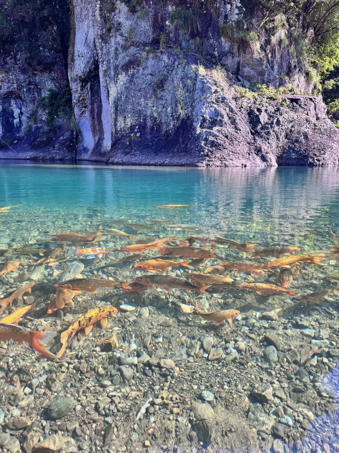 仙居玩水新发现｜小众撩朱线超绝🔥