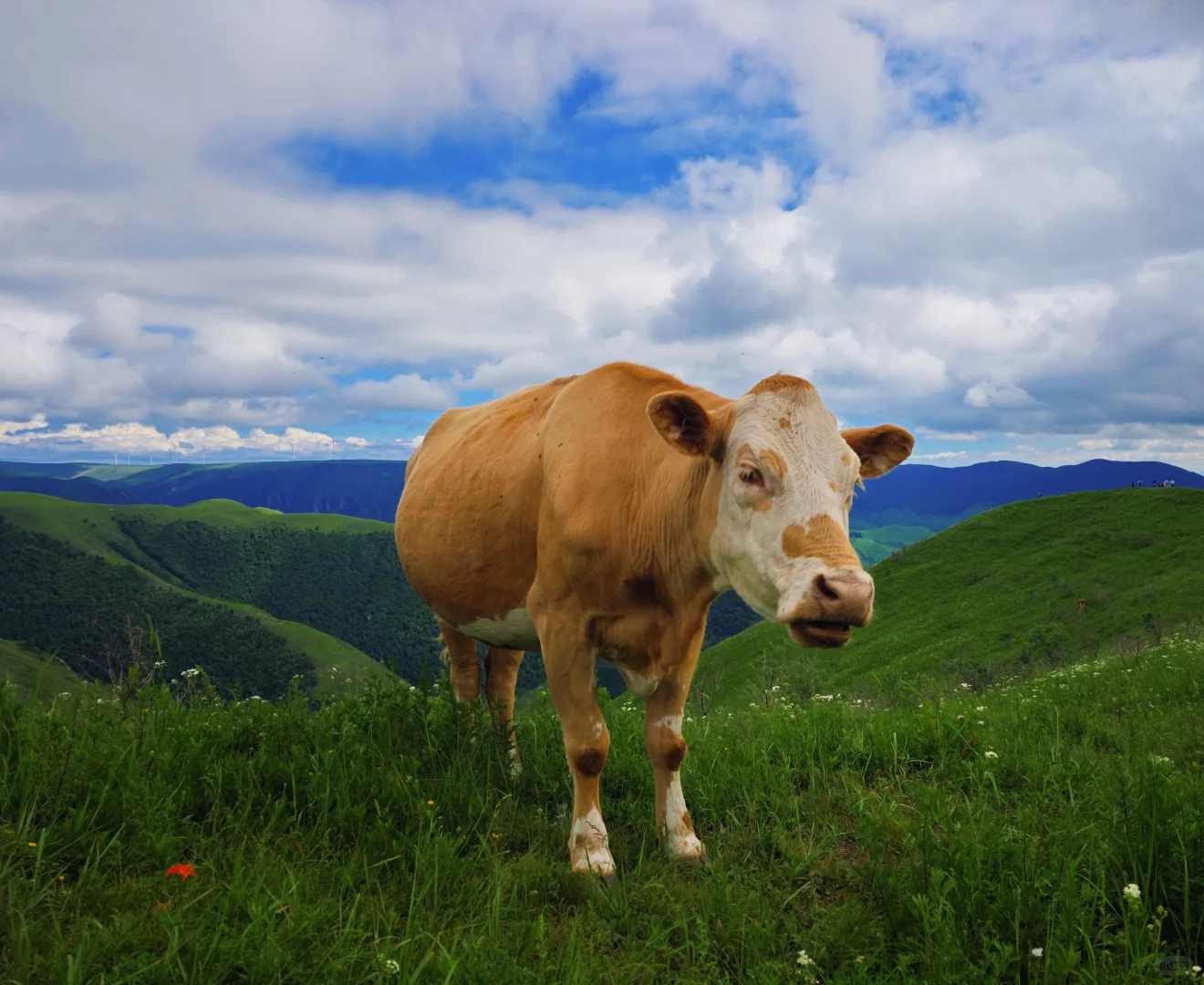 闯入仙境——张家口蔚县麻田岭徒步