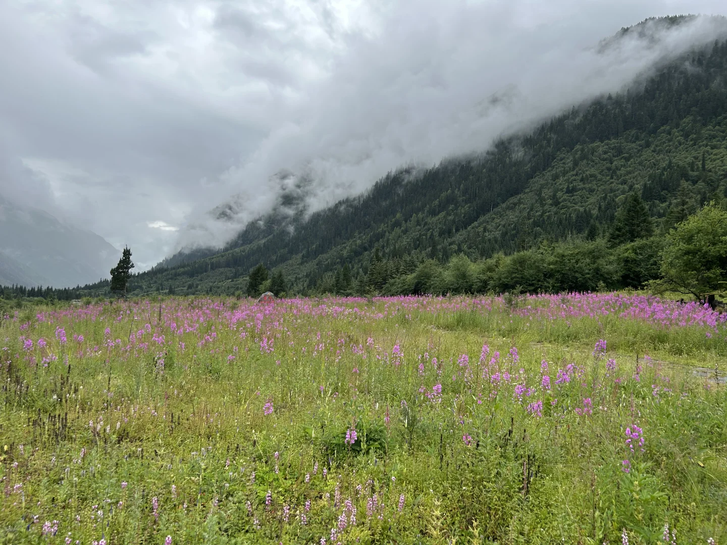 “九寨沟➕四姑娘山双桥沟”详细攻略送上
