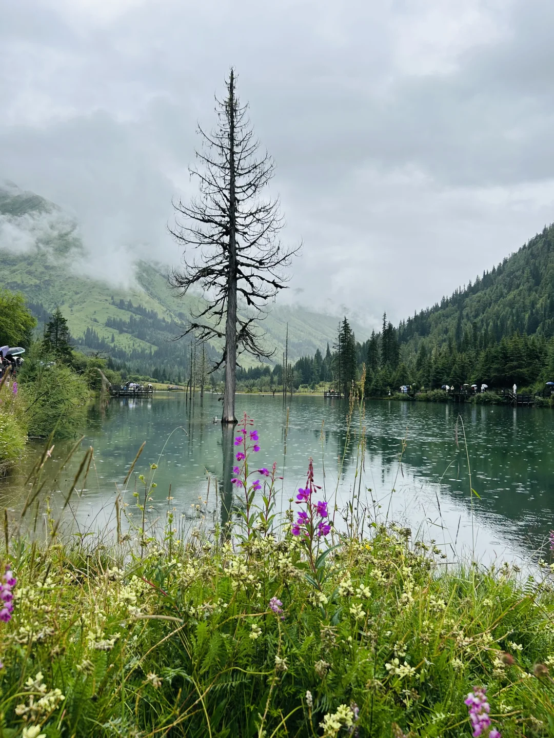 “九寨沟➕四姑娘山双桥沟”详细攻略送上