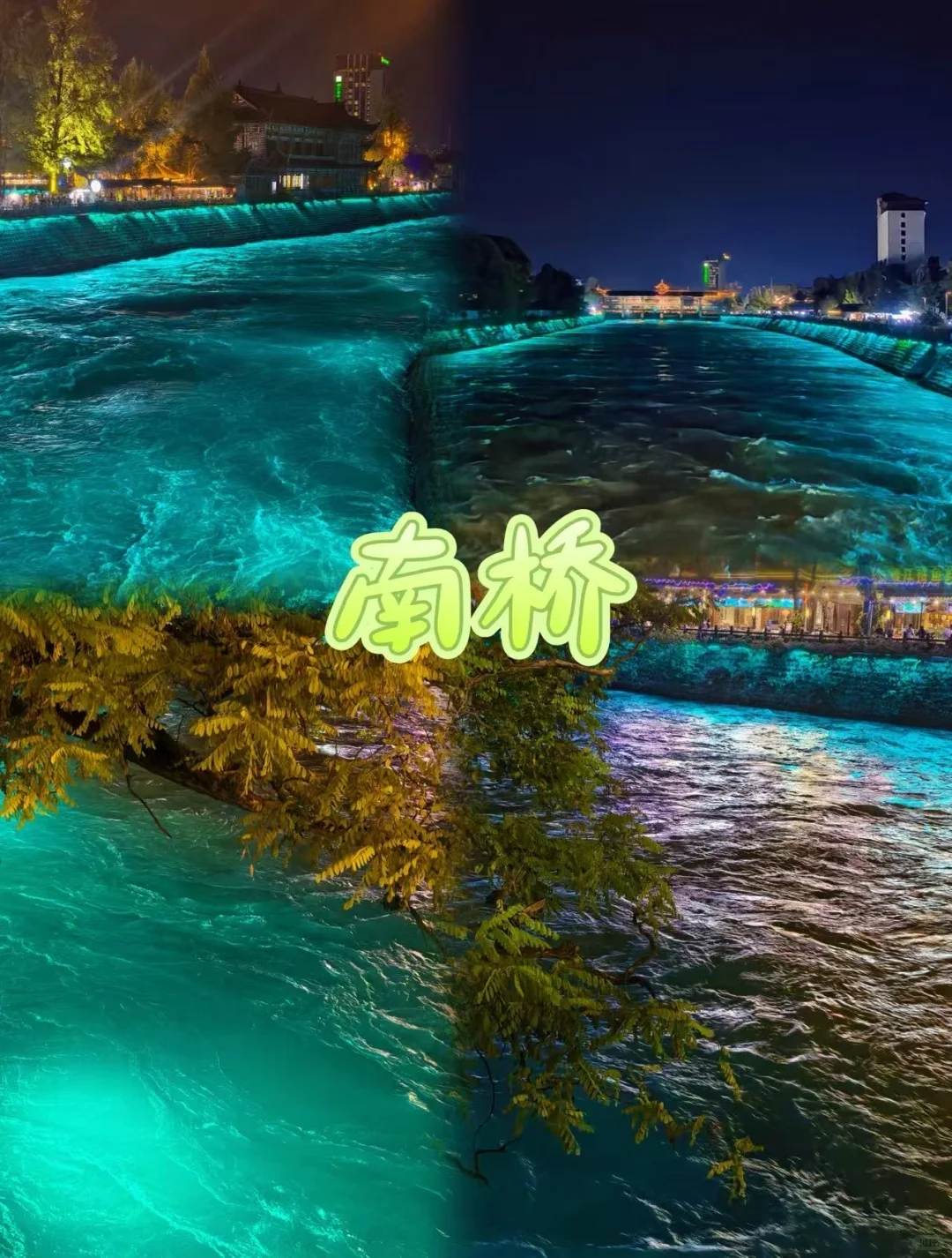 熊猫谷吸氧+都江堰夜游！包车路线私人定制🚀