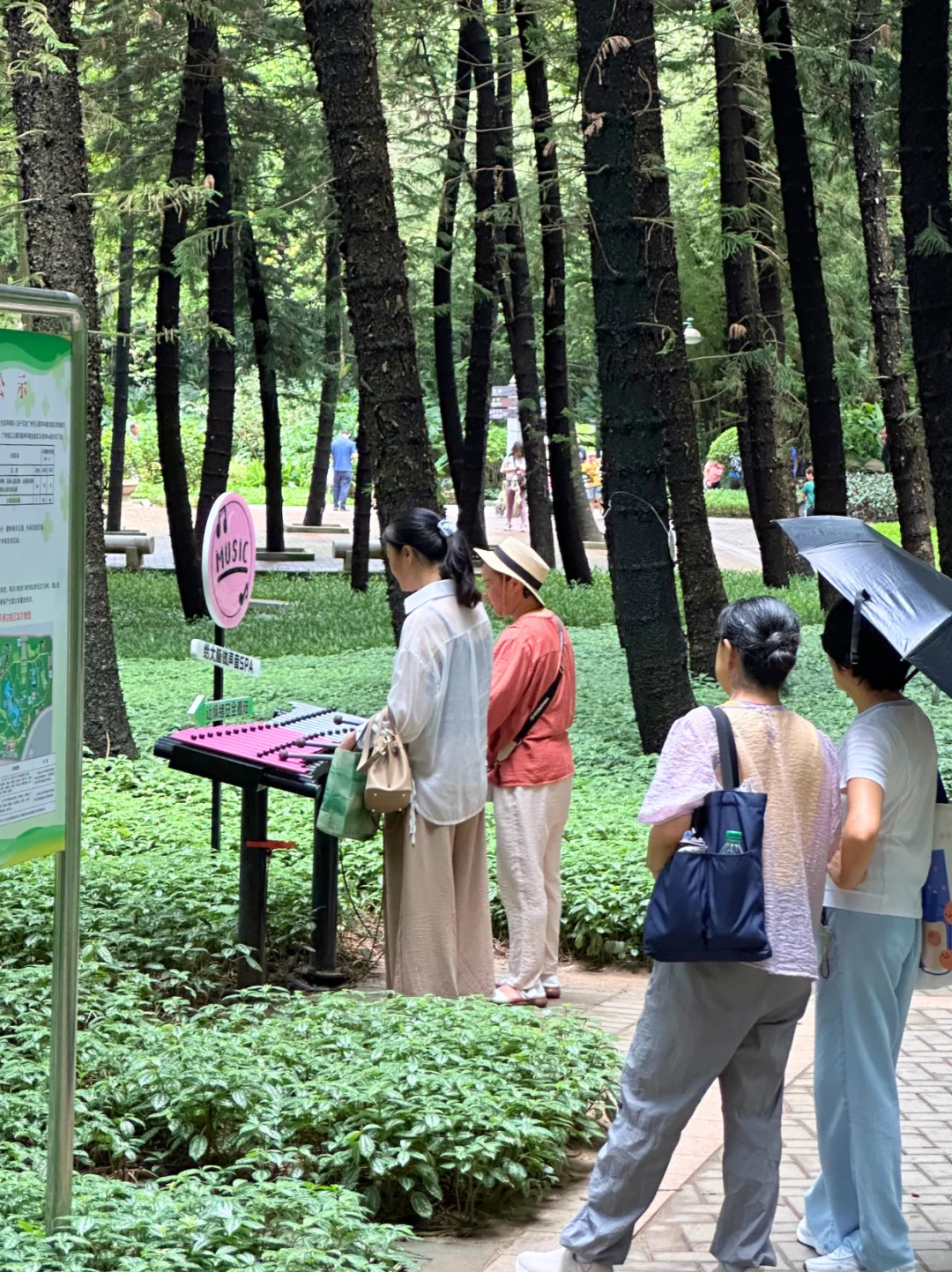 藏在CBD的遛娃宝地｜撸猫天堂+野餐圣地！