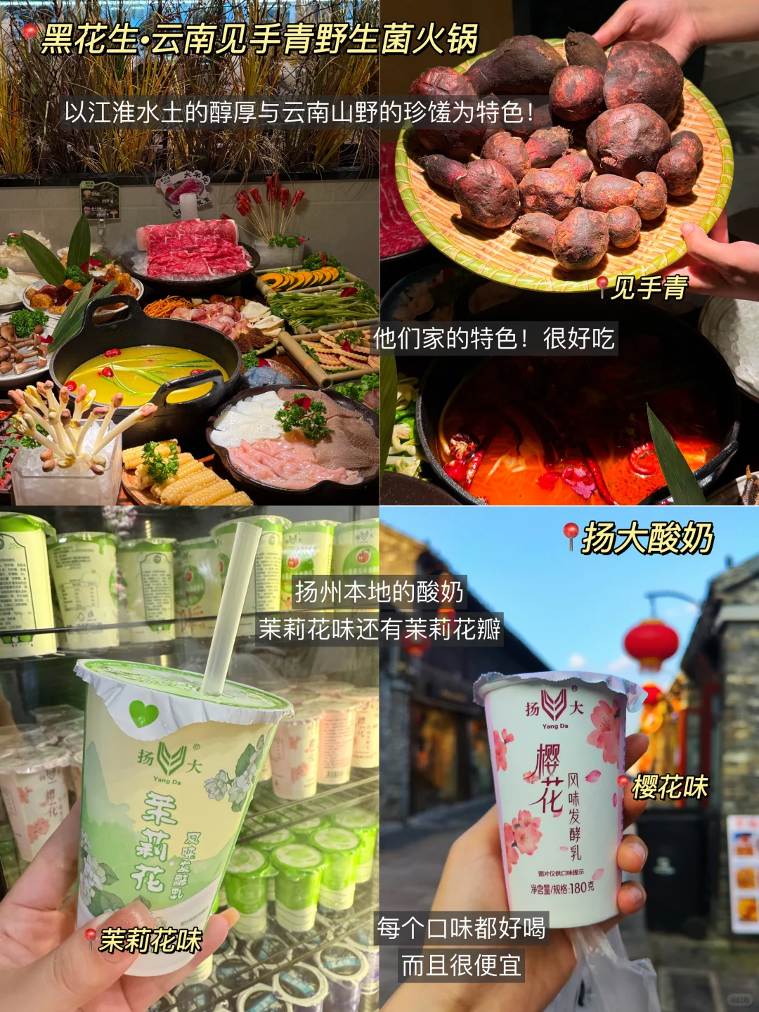 被自己熬夜做的扬州攻略满意得睡不着。。🥹