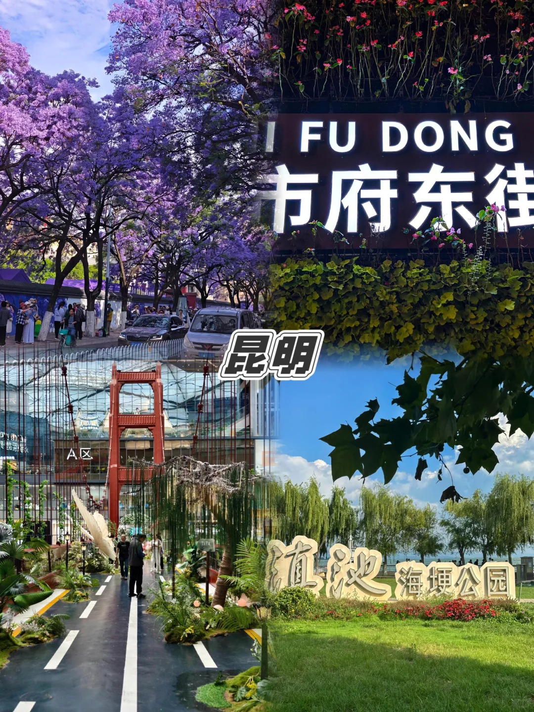 云南 6 天小团亲测！人均 1500 玩到不想走