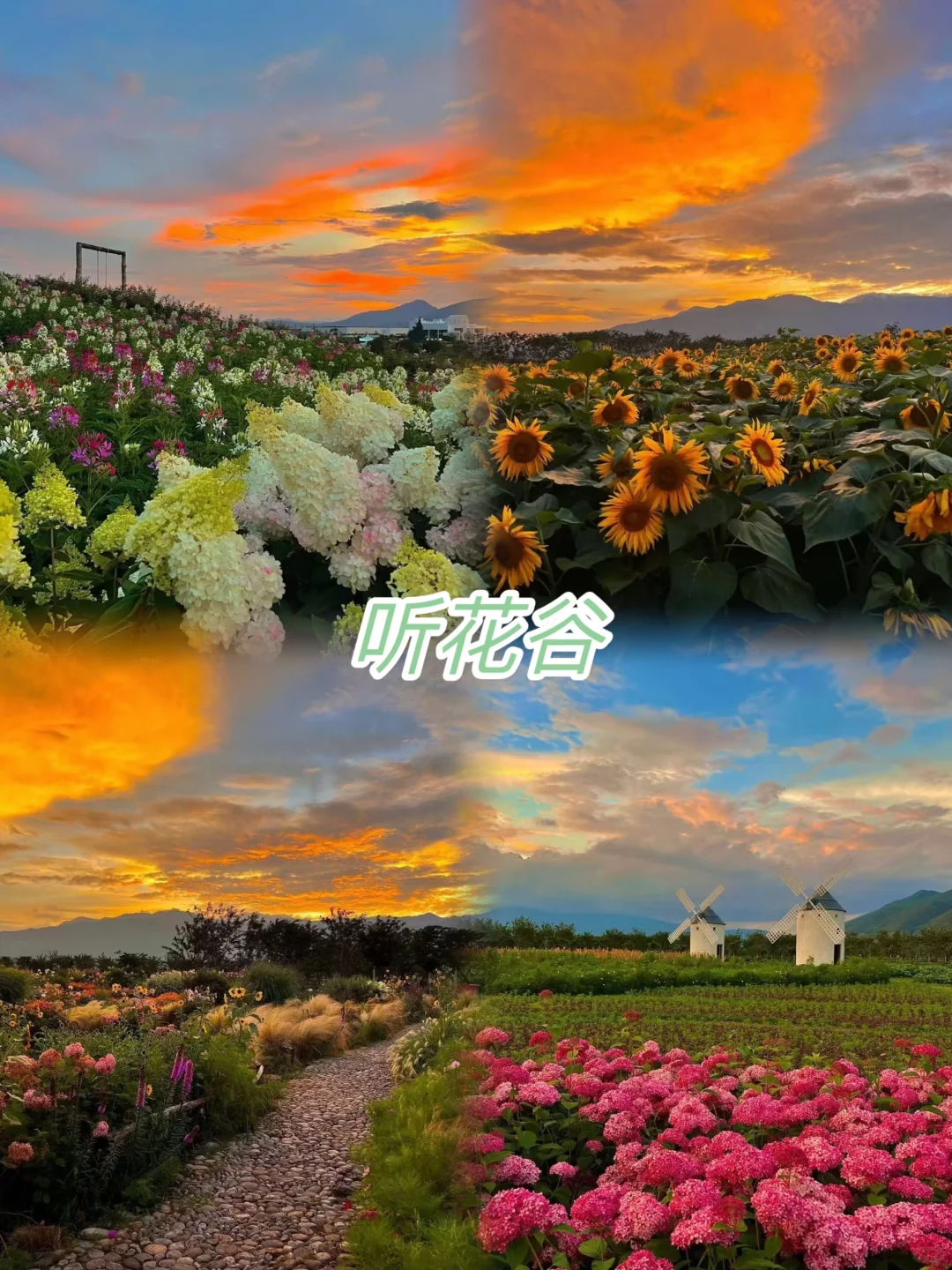 云南 6 天小团亲测！人均 1500 玩到不想走