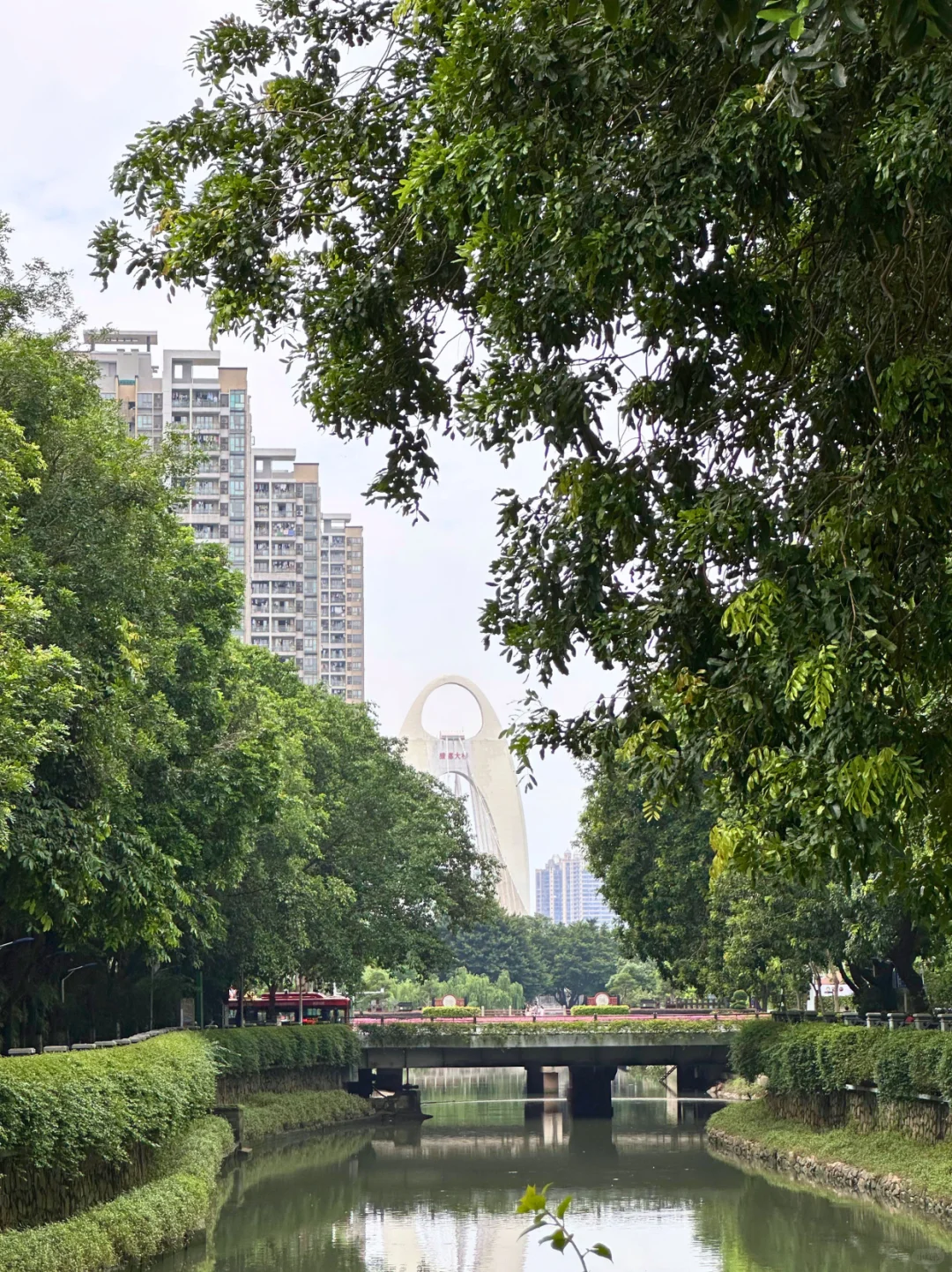 藏在CBD的遛娃宝地｜撸猫天堂+野餐圣地！