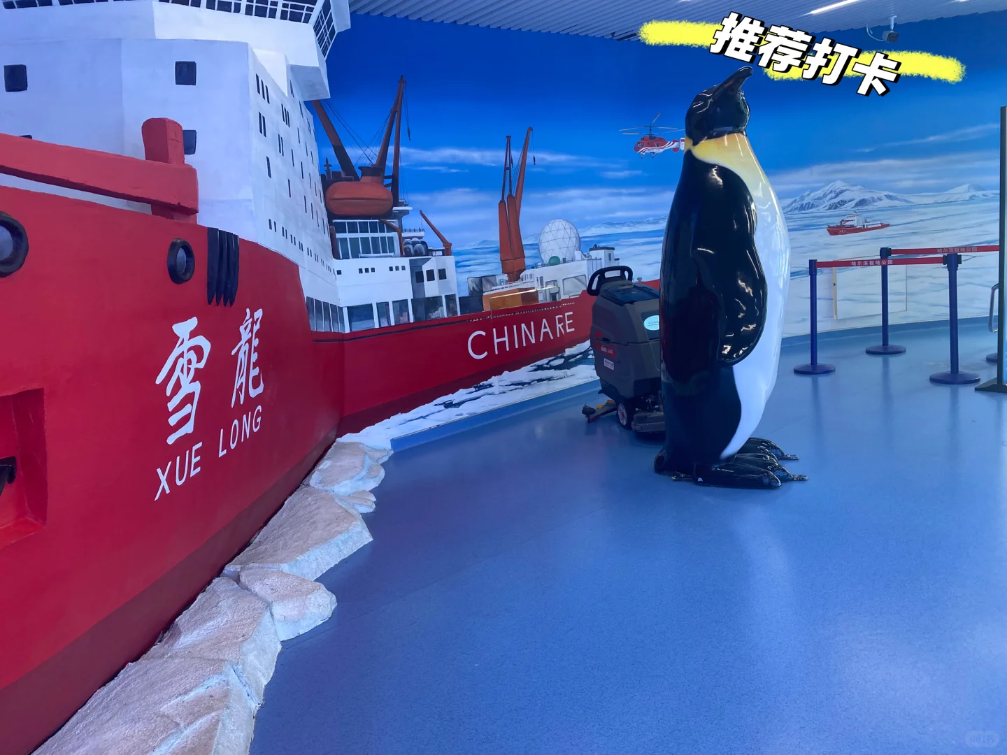 来哈尔滨极地公园玩啦