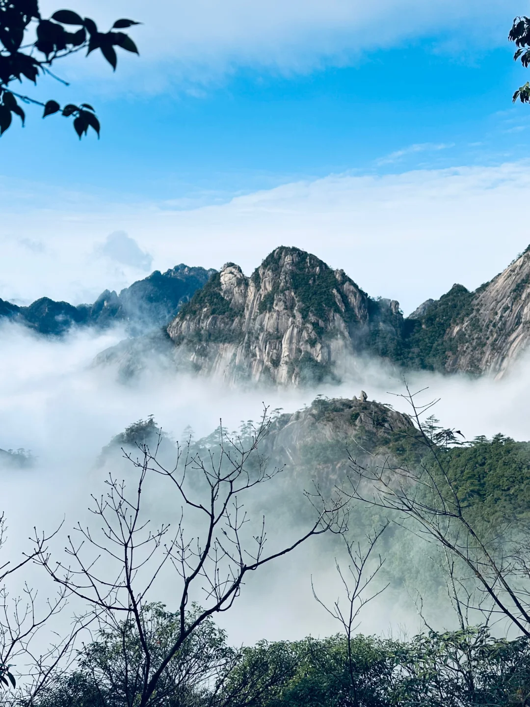 劝你别轻易爬黄山…不然满脑子都是它的云海