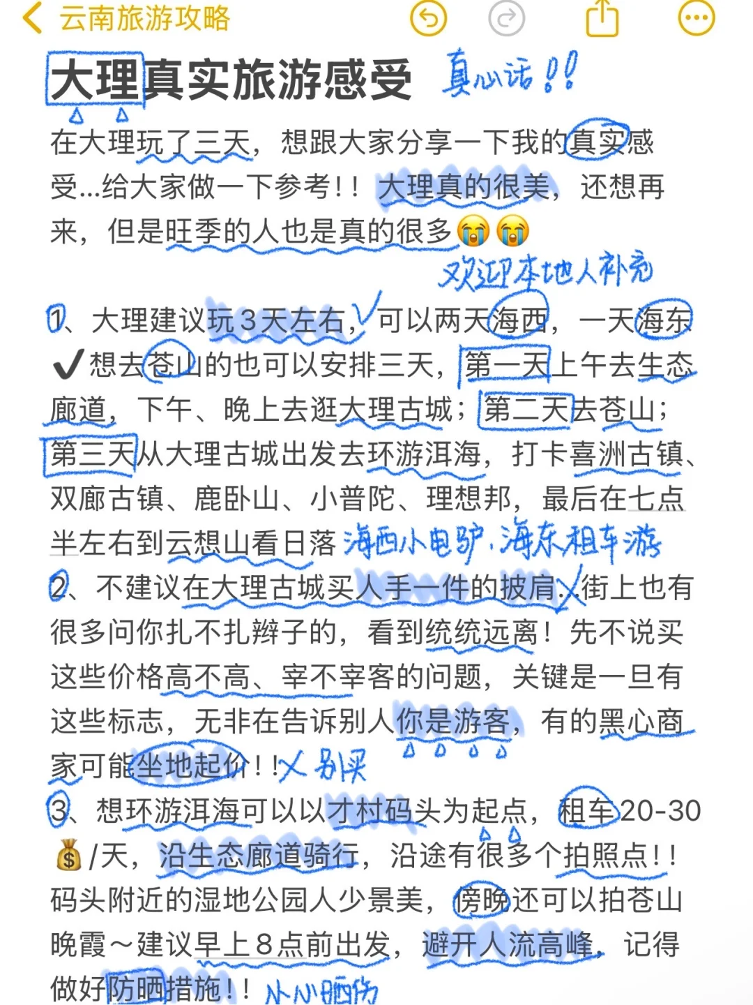 对自己熬夜做的大理攻略满意得睡不着…😭