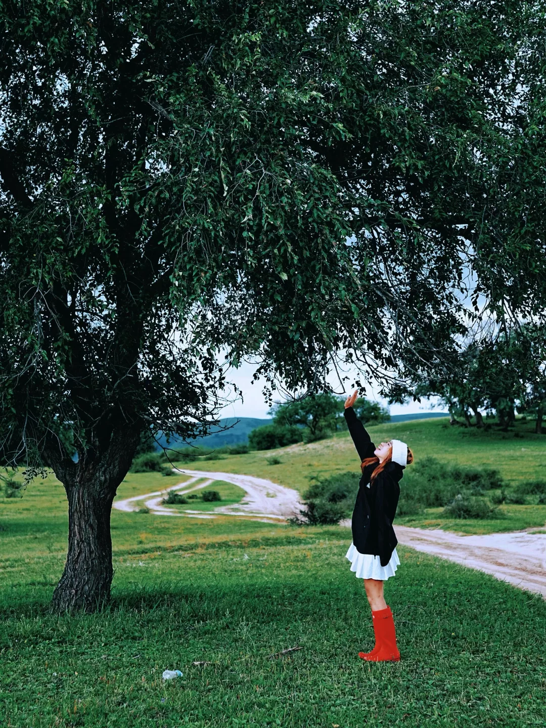 谁还没来❗️北京周边被狠狠低估的小众草原❗️