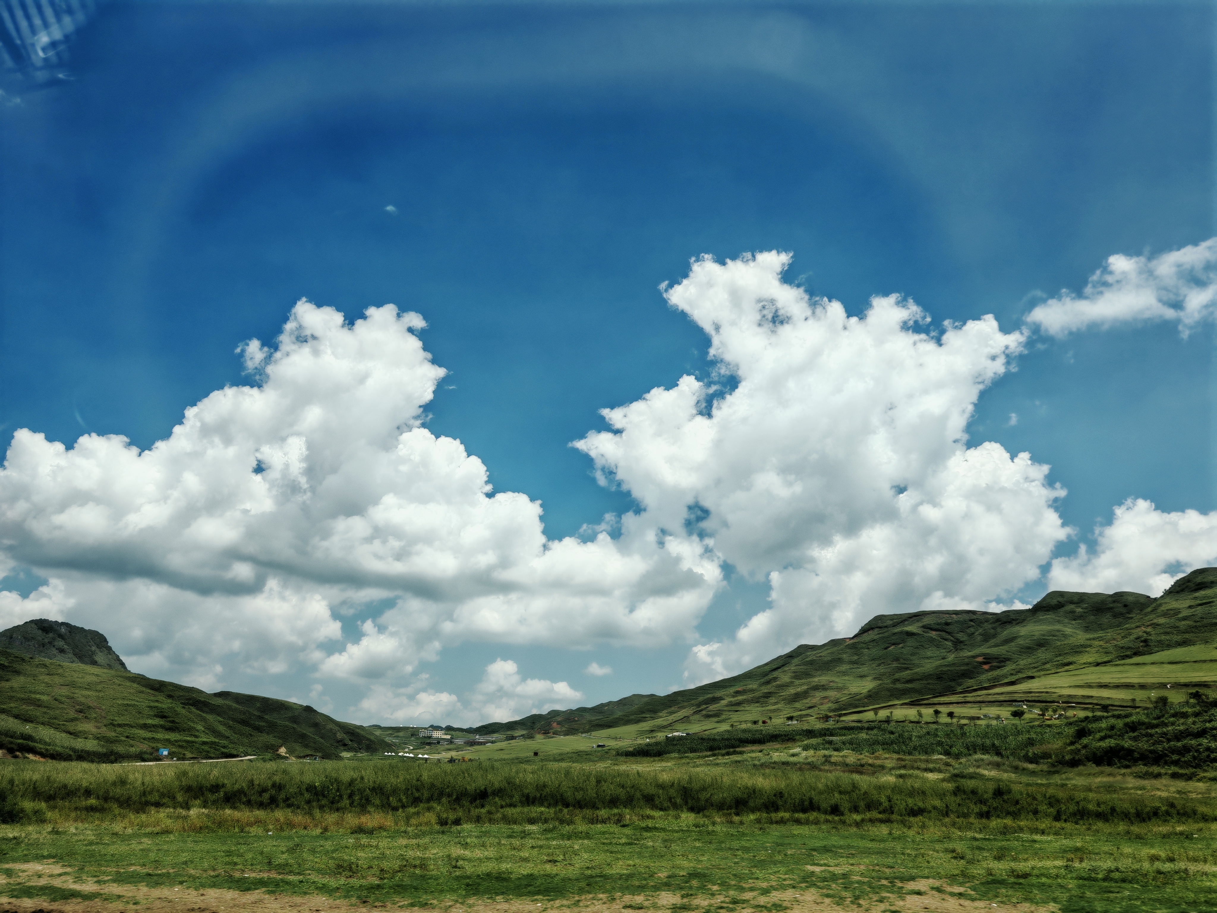 阿西里西大草原，堵车🚘堵哭啦（含攻略）