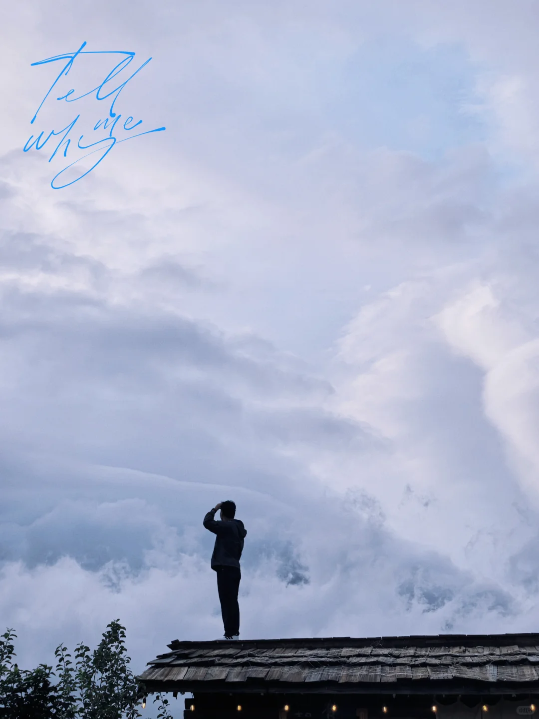 女生们：建议旅游攻略都让男生来做✈️