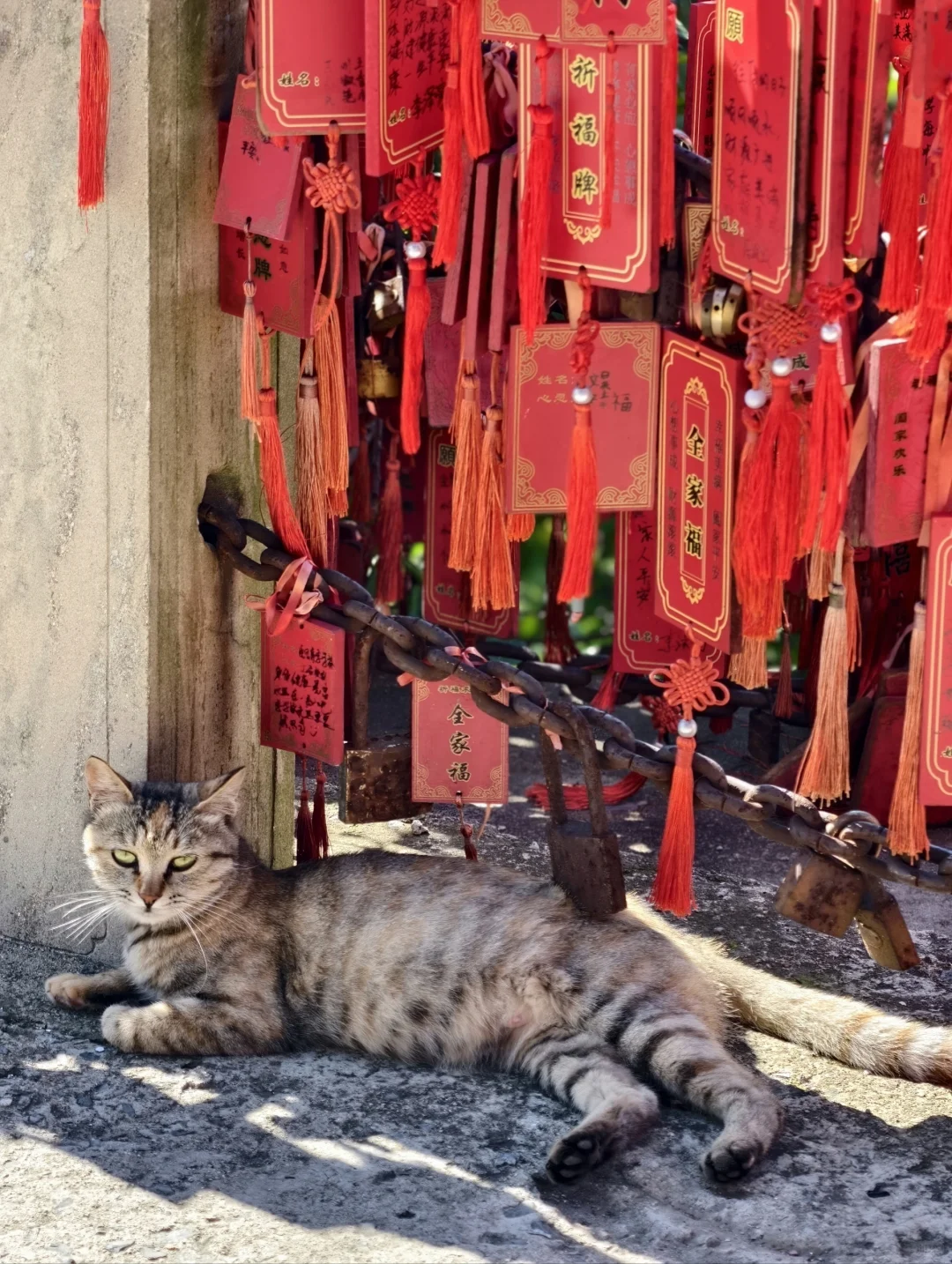 📍蓟州盘山 | 人在爬山~工作过两天再说