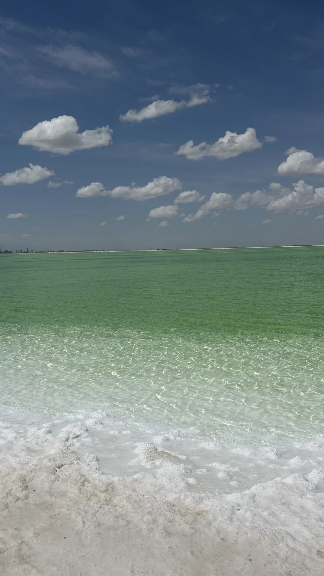 青甘大环线强推