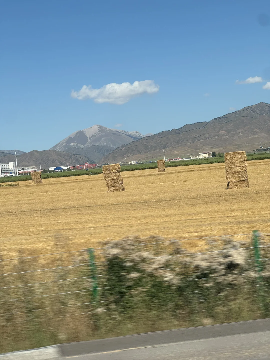麦田雪山牛羊玉湖