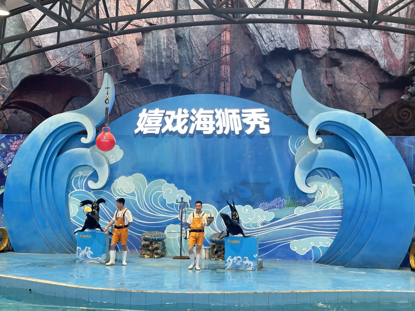 免费的嬉戏谷也是带娃玩上啦🎢‼️