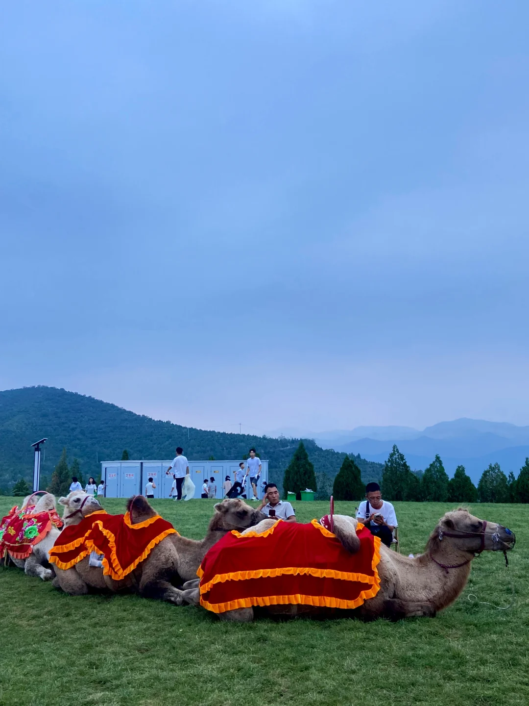 太行五指山空中草原