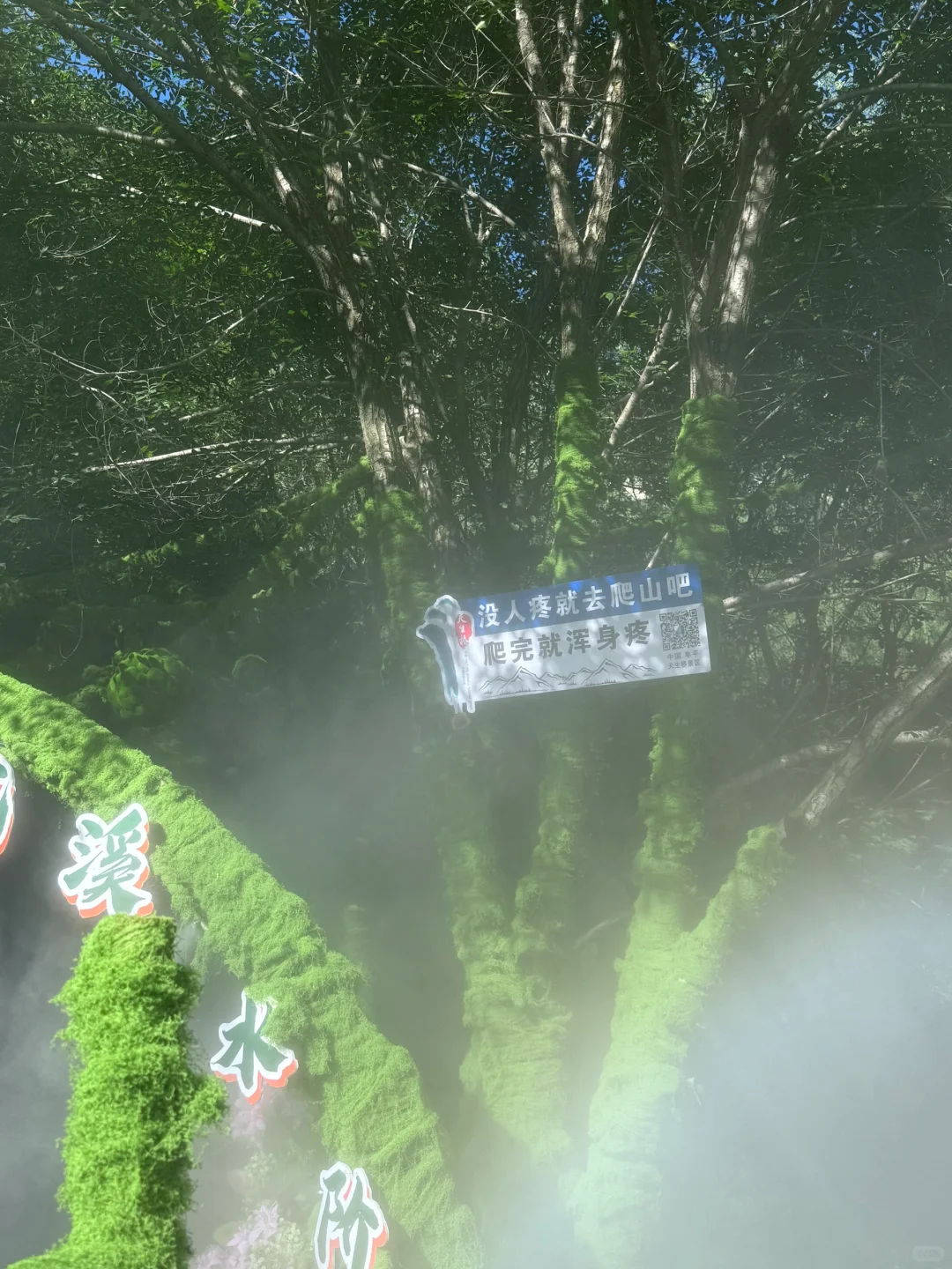 当然要多出去走走 我又不是一直二十🌸