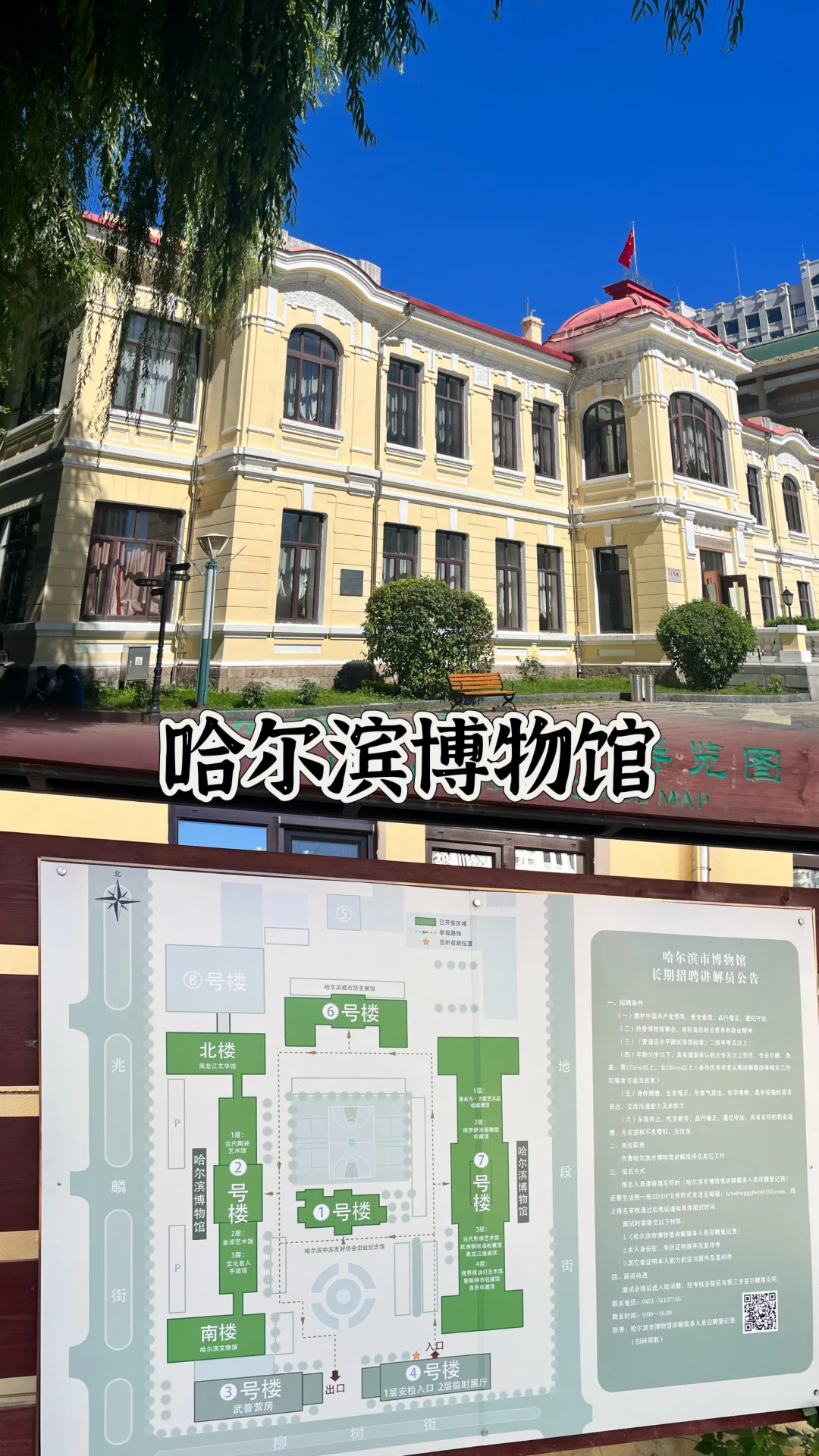 夏天去哈尔滨也太舒服了吧