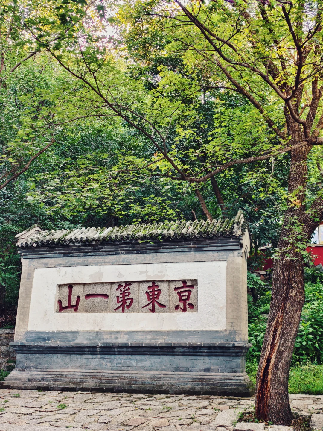 📍蓟州盘山 | 人在爬山~工作过两天再说