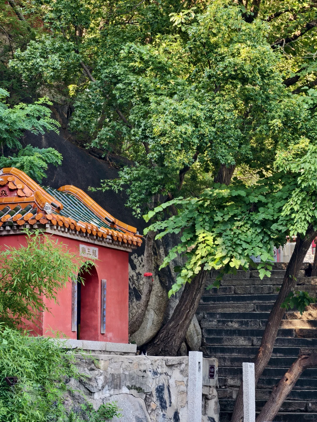 📍蓟州盘山 | 人在爬山~工作过两天再说