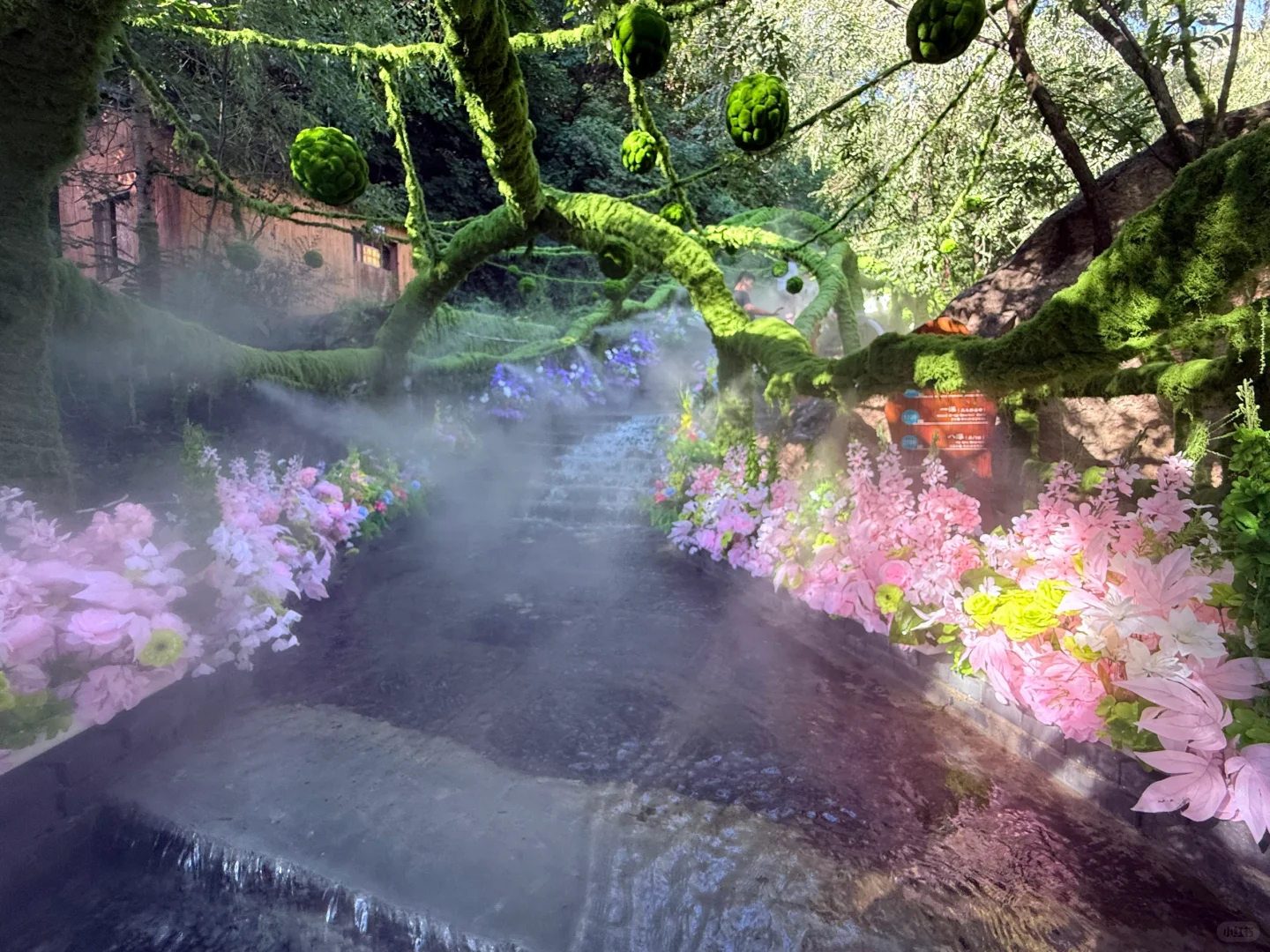 当然要多出去走走 我又不是一直二十🌸